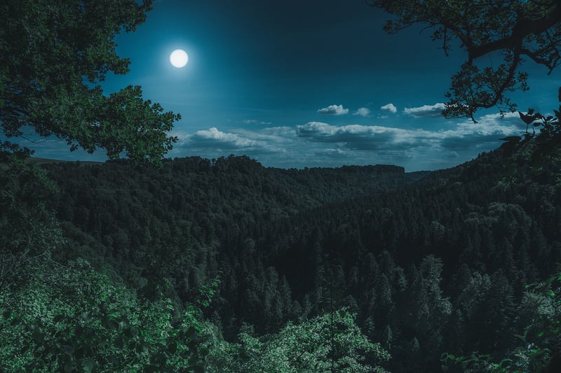 Moonlight Mocktails